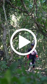 BIB:  <button type="button" onclick="openModal(28067090)" class="btn btn-primary btn-sm float-right" data-toggle="modal" data-target=".modal-high-quality">
                <i class="fa fa-download"></i> Download
                </button>